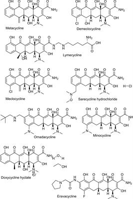 Boromycin has Rapid-Onset Antibiotic Activity Against Asexual and Sexual Blood Stages of Plasmodium falciparum